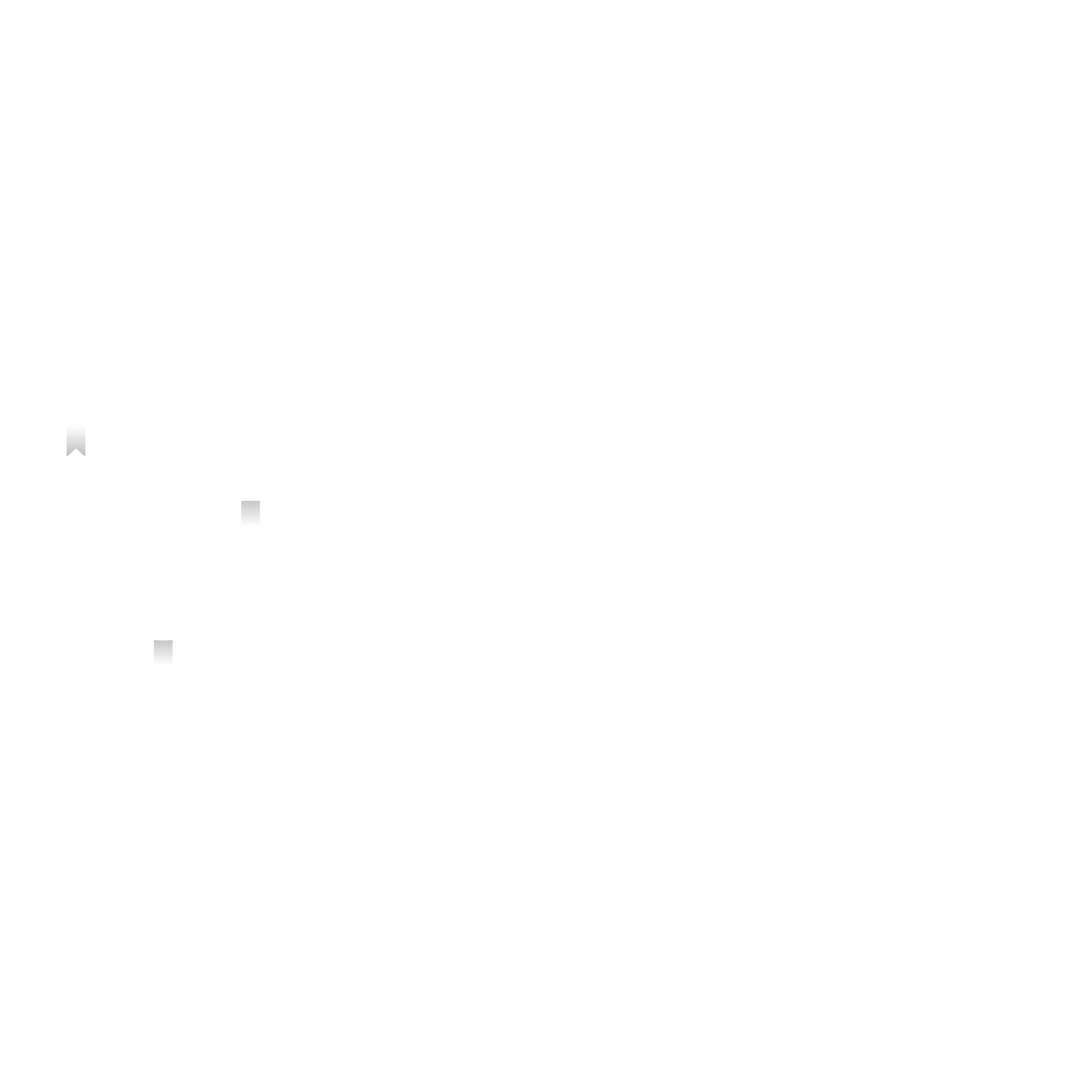 Job Description